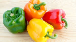 Bell Pepper (Capsicum annuum)
