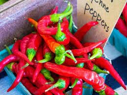 Cayenne Pepper (Capsicum annuum)