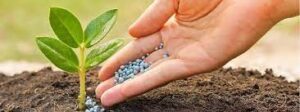 Impact on Cost of Fertilizers