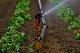Impact on Irrigation