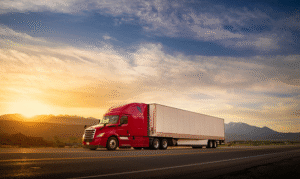 Proper Handling and Transportation