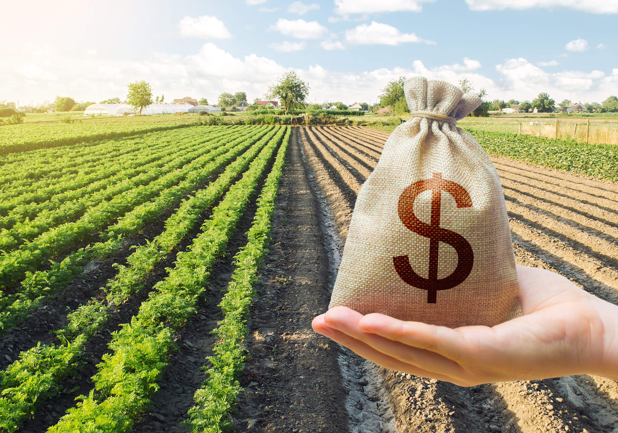 Agri-input Supply​